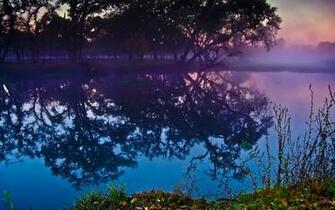 Widescreen Laptop Nature Wallpaper