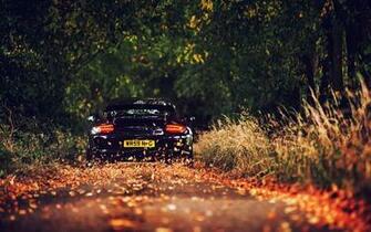 Rainy Road In Autumn Wallpaper Stock Photos