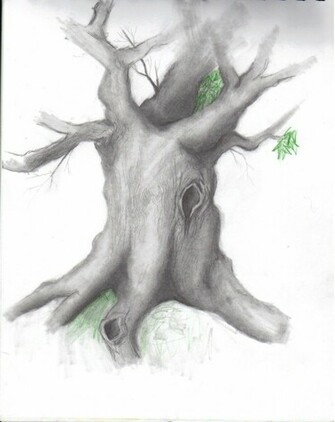 Pencil Sketches Mobile Wallpaper Of Art Drawing