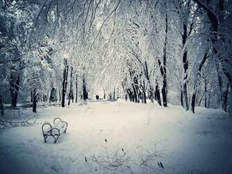 Snowy Scene Wallpaper