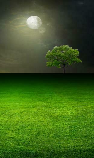 Windows Phone Wallpaper Daily Mobile