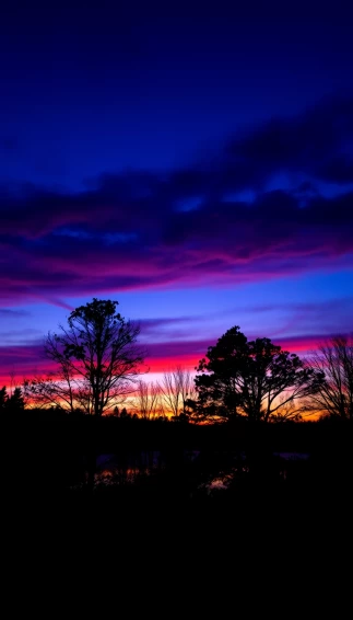 Twilight Wallpaper For Phone