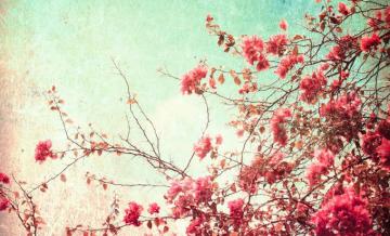 Aesthetic Landscape Vintage Wallpaper iPhone Largest