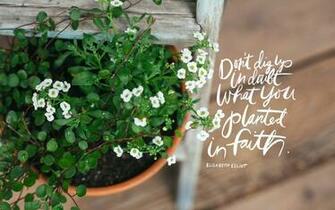 Thorn Sparrow June Desktop Wallpaper Seeds Of Faith