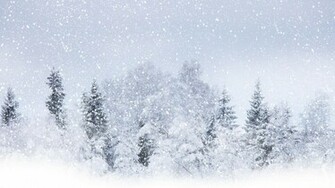 Winter With Snow Background Widescreen And HD Wallpaper