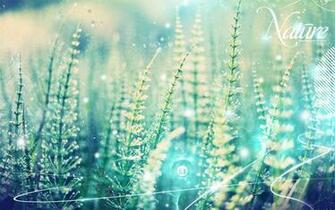 Aesthetic Wallpaper HD Net