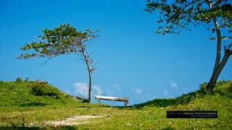 Caribbean Wallpaper Wednesday Take A Break From Spring