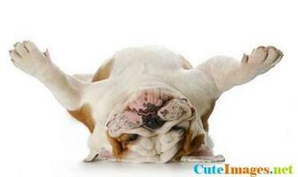 The Right Stuff Wallpaper CuteImage Net