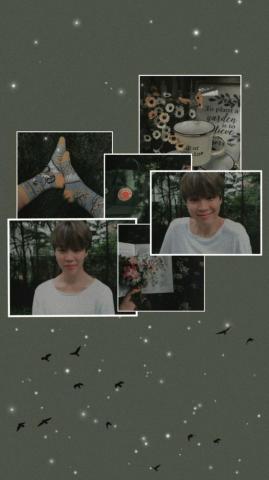 Wallpaper Bts Jimin Green Sharoon88