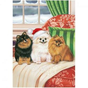 Pomeranian Christmas Cards