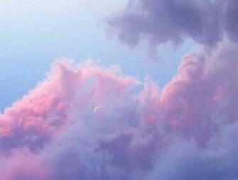 Wild Cosmia Shared By Danny On We Heart It