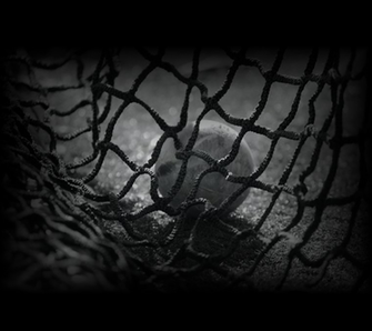 Photo Lacrosse Ball In Goal Net The Album Sports Wallpaper By