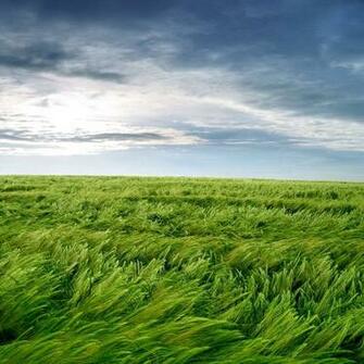 For Your iPad Air If You Like Wallpaper