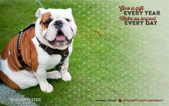 Mississippi State University Development And Alumni Wallpaper