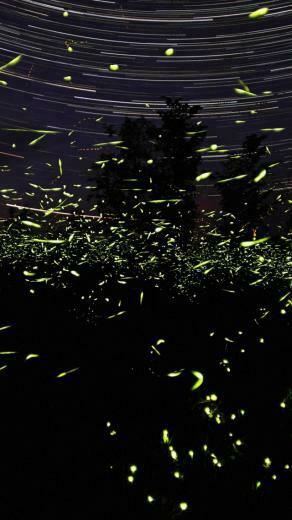 Stunning iPhone 5s HD Retina Wallpaper Mobilecrazies