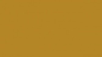 Gold Solid Color Background And The Below