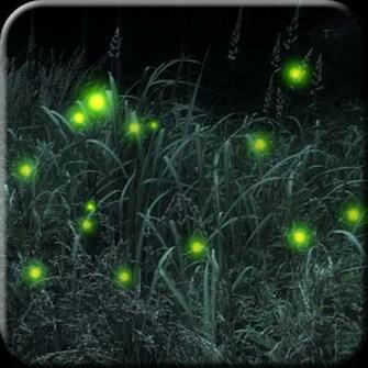 Firefly Live Wallpaper Android