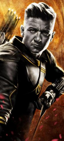 Hawkeye Avengers Endgame Art iPhone Xs
