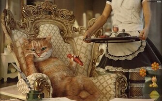 Big Boss Cat HD Wallpaper