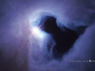 Reflection Nebula Ngc In The Constellation Orion Space Wallpaper