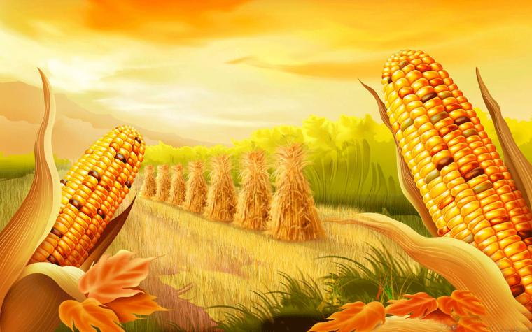 Thanksgiving Day Wallpaper HD