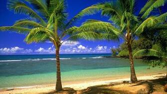 Tropical Paradise Art Prints Wall And Posters Murals Buy A