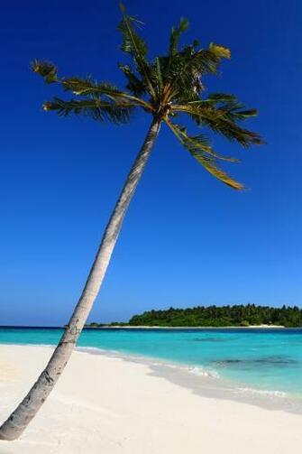 Wonderful Beach Wallpaper For iPhone