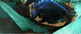 Toothless The New Alpha Gif By Grzeboable