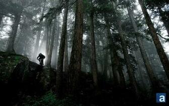 Journal Wallpaper Wednesday Mountain Biking Whistler B C