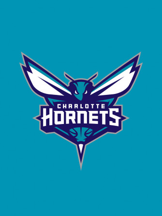 Charlotte Hornets Pyramid Scheme Heysport