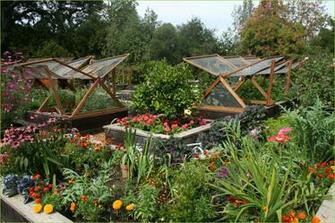 Vegetable Garden Wallpaper Flower