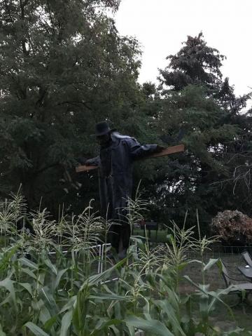 Jeepers Creepers Scarecrow Halloween Lighting Outdoor