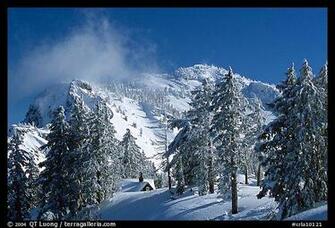 Trees Cabin And Mt Garfield In Winter Crater Lake National Park