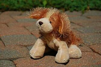 Cocker Spaniel Webkinz