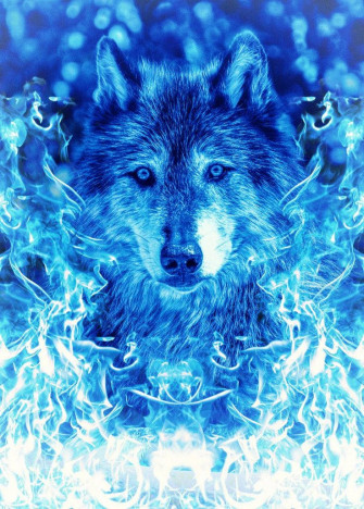 Blue Wolf Wallpaper