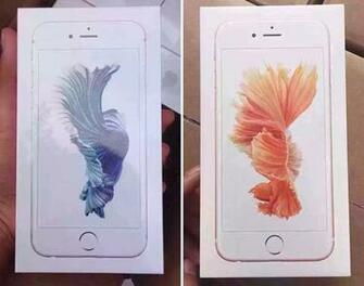Show iPhone 6s Packaging For All Four Colors Rose Gold Model Up Close