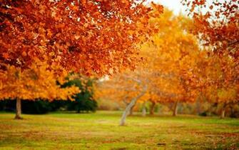 Pics Photos Nature Animated Desktop Wallpaper And