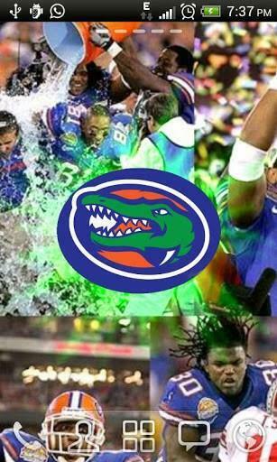 Bigger Florida Gators Live Wallpaper For Android Screenshot