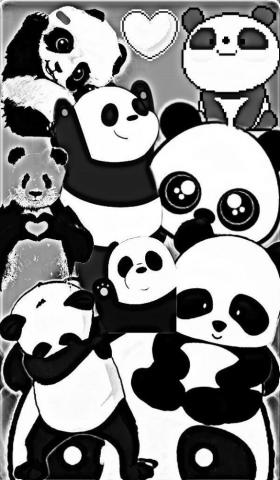 Panda Bear Wallpaper