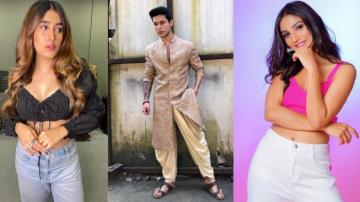 Bigg Boss Omg Donal Bisht And Akasa Singh Have A Crush On
