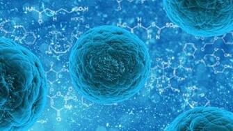 Genetically Encoded Sensor Isolates Hidden Leukemic Stem Cells