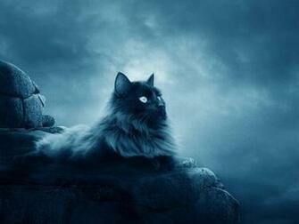 Warriors Cats Desktop Wallpaper