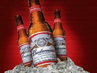 Ice Cold Budweiser HD Wallpaper