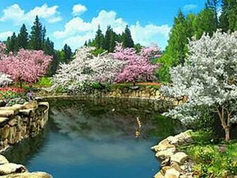 Screensaver Screensavers Flower Blossoms