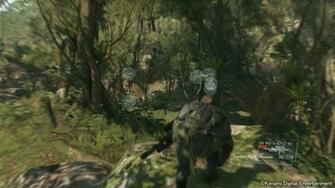 Quiet And African Jungle Metal Gear Informer Mgs5 Wallpaper