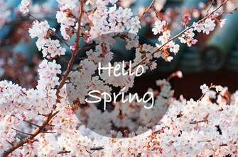 Welcome To My Favorite Season Of The Year