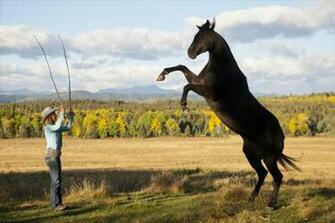 Topic Water Creek Riding Stables New And Accepting
