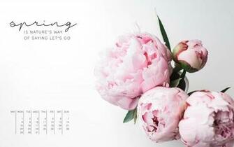 Wallpaper Discover New Designs Every Month Jo Judy