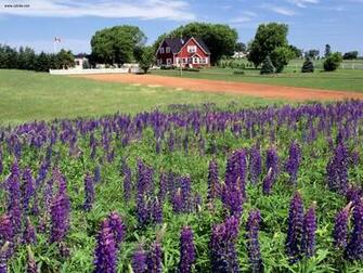 Map Of Prince Edward Island Canada Wallpaper