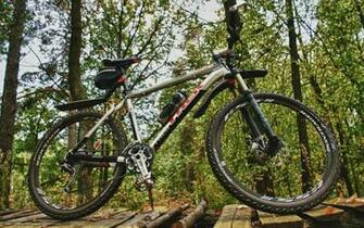 Wallpaper Bike Bicycle Forest Trek Desktop
